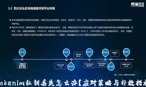 
tokenim私钥丢失怎么办？应对策略与补救措施