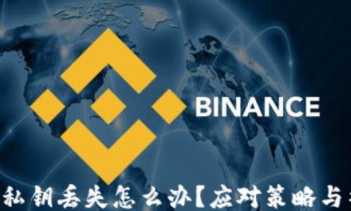 
tokenim私钥丢失怎么办？应对策略与补救措施