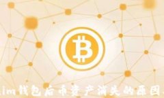 导入Tokenim钱包后币资产消失的原因及解决方法