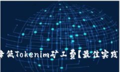 biati如何降低Tokenim矿工费？最佳实践与策略分析