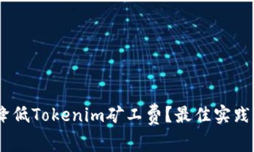 biati如何降低Tokenim矿工费？最佳实践与策略分析