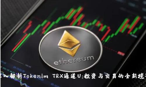 深入解析Tokenim TRX通道U：投资与交易的全新境界
