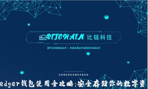 
Ledger钱包使用全攻略：安全存储你的数字资产