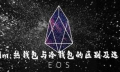 Tokenim：热钱包与冷钱包的区别及选择指南