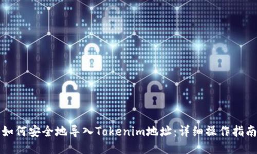 如何安全地导入Tokenim地址：详细操作指南