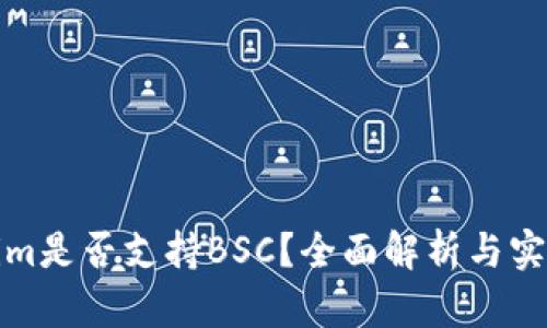 Tokenim是否支持BSC？全面解析与实用指南