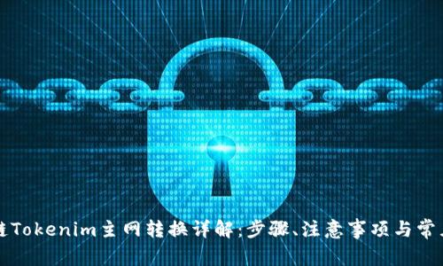 比原链Tokenim主网转换详解：步骤、注意事项与常见问题