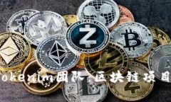  全面解析Tokenim团队：区块链项目背后的力量