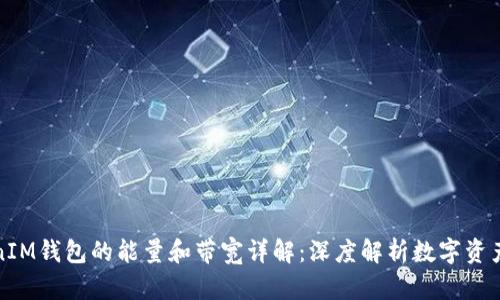 TokenIM钱包的能量和带宽详解：深度解析数字资产管理