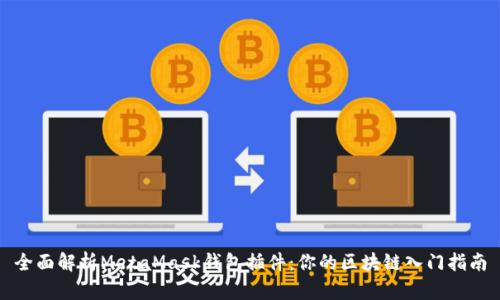 全面解析MetaMask钱包插件：你的区块链入门指南