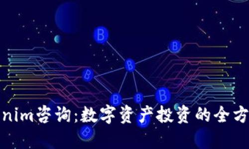 : Tokenim咨询：数字资产投资的全方位指南