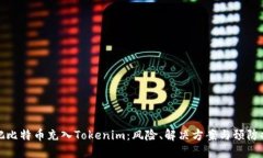 误把比特币充入Tokenim：风险、解决方案与预防措