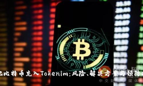 误把比特币充入Tokenim：风险、解决方案与预防措施