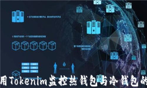 
如何使用Tokenim监控热钱包与冷钱包的安全性