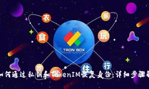 : 如何通过私钥和TokenIM恢复身份：详细步骤解析