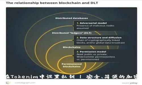 如何在Tokenim中设置私钥 | 安全、简便的加密方法