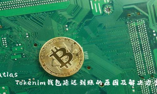 atlas
    Tokenim钱包延迟到账的原因及解决方案