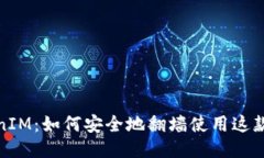 TokenIM：如何安全地翻墙使用这款钱包