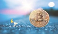 要观察钱包中的币是否能整出来，通常我们会通