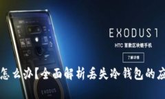 虚拟币冷钱包丢了怎么办？全面解析丢失冷钱包