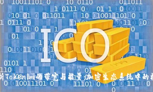 深入解析Tokenim的带宽与能量：加密生态系统中的核心要素