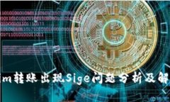 Tokenim转账出现Sige问题分析及解决方案