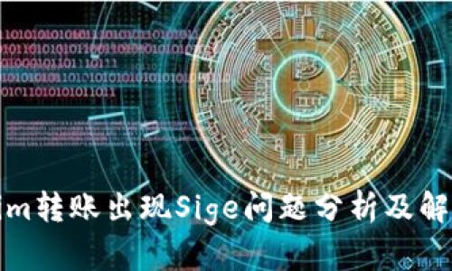 Tokenim转账出现Sige问题分析及解决方案
