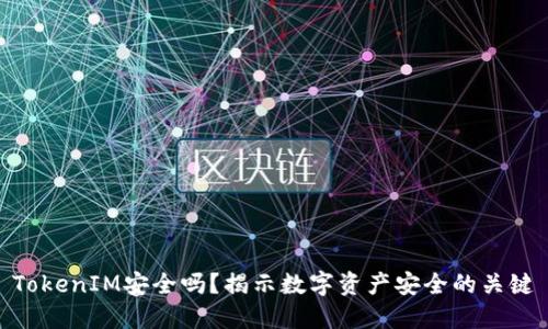 TokenIM安全吗？揭示数字资产安全的关键