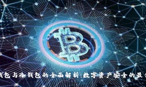 观察钱包与冷钱包的全面解析：数字资产安全的最佳选择