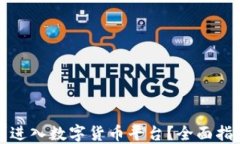 如何顺利进入数字货币平台？全面指南与技巧