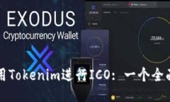 如何使用Tokenim进行ICO: 一个全面的指南