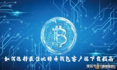 如何选择最佳比特币钱包客户端下载指南