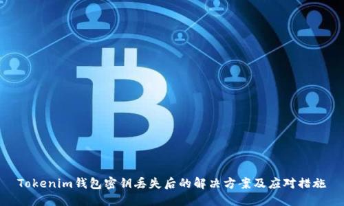 Tokenim钱包密钥丢失后的解决方案及应对措施