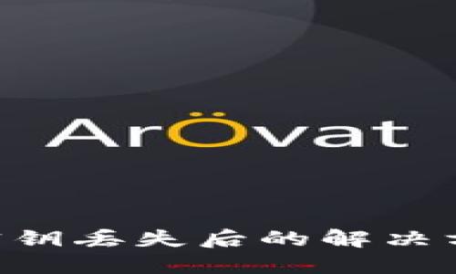 Tokenim钱包密钥丢失后的解决方案及应对措施