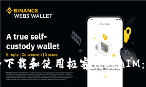 如何安全下载和使用极客TokenIM：详细指南