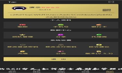 冷钱包中的BCH分叉：如何安全存储和管理比特币现金