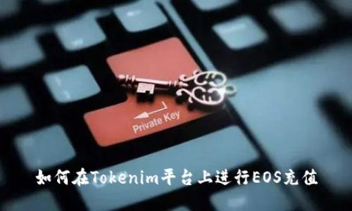 如何在Tokenim平台上进行EOS充值