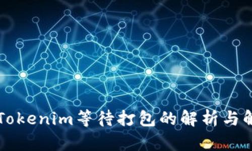 ### Tokenim等待打包的解析与解决方案