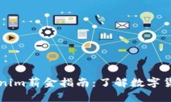 ### 新加坡Tokenim薪金指南：了解数字货币行业的薪