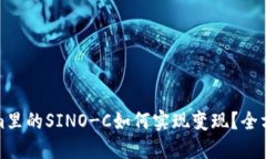 Tokenim里的SINO-C如何实现变现？全方位指导
