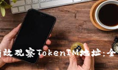 如何有效观察TokenIM地址：全面指南