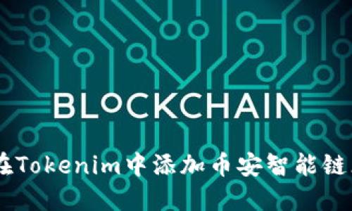 如何在Tokenim中添加币安智能链（BSC）