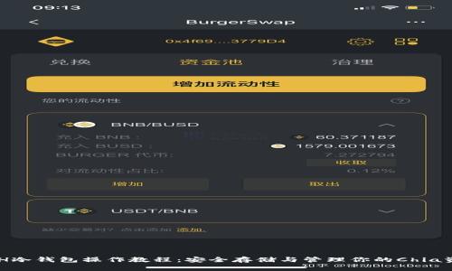 XCH冷钱包操作教程：安全存储与管理你的Chia资产