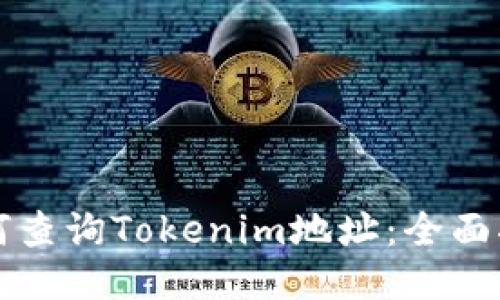 如何查询Tokenim地址：全面指南