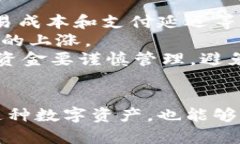   全面解读冰币：起源、使用方法与未来展望 /