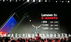 冷钱包地址是否公开？解读冷钱包的安全性与隐