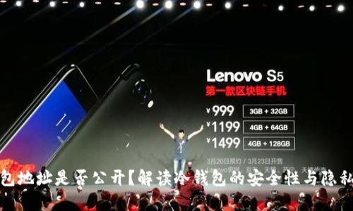 冷钱包地址是否公开？解读冷钱包的安全性与隐私保护