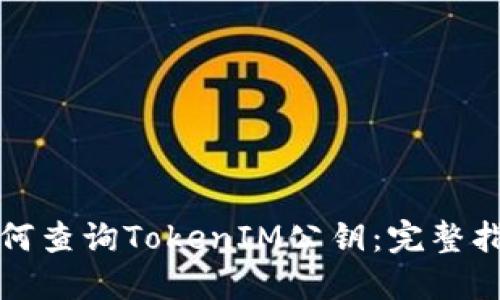 如何查询TokenIM公钥：完整指南