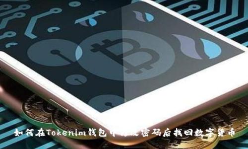 如何在Tokenim钱包中修改密码后找回数字货币