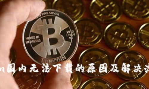 Tokenim国内无法下载的原因及解决办法分析